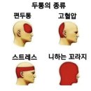 한국택시구미협동조합 | 마을 친구들과 상하이 여행을 떠나요