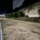 월문천1 이미지