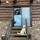 시류객잔 이미지