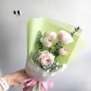 피오니플랜트 이미지