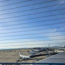 활주로종합카클리닉 | 나고야 3일차 I 주부국제공항 센트레아 4층 일반구역 스카이타운 식당가, 전망대 , 에비센베이노사토...