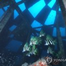 해군목장 이미지