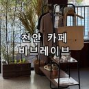 비브레이브 | 천안 베이커리 빵 커피 맛집 카페 추천 비브레이브 천안점 후기