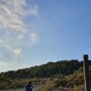 제주산책