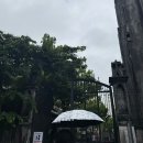 성요셉 무료급식소 | [베트남 하노이 가볼만한 곳] 성요셉 대성당 : 복장 / 내부 입장 시간 솔직후기