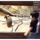 메종몽생 이미지