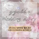 [ෆW3-(2)ෆ] 웨딩포토 촬영 후기 / 스튜디오쿄, 보헤브부티크, 꼼나나브라이드