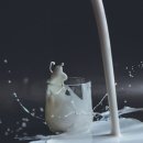 주식회사 비즈모아코리아 이미지