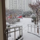 더하얀세상 이미지