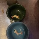 논현1-108 | 강남 논현역 핫플 우기식당 육지2호점 후기