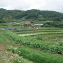 민들레공동체
