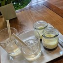 아나스프링 | 나트랑 태교여행 : 공항근처 깜란지역 아나만다라 리조트 후기(디럭스가든뷰/조식/수영장/룸서비스/셔틀...