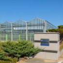 부적면사무소 이미지