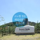비비큐 풍산중앙점 | 소노벨 청송 대명리조트 패밀리 취사(온돌), 솔샘온천, 빠띠오 포장