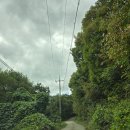 북면394 | 천안 성거산성지, 병인박해 150주년기념성당, 성거산성지 소성당, 대전교구 성거산성지 방문