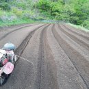 고추연구소농장 이미지