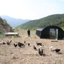 윤씨네농장 이미지