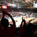 챔프 체육관 이미지