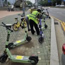 주정차단속-60 이미지