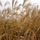 하늘공원 화장실 이미지