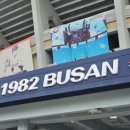 125 | 부산 사직야구장 1루 내야필드석 125블럭 시야 및 후기