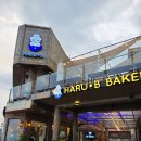 전망좋은 하르비커피, 서귀포 오션뷰 카페 리스트 내돈내산 후기