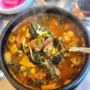 [마곡나루맛집]소플러스 마곡점 오픈 점심메뉴 장터국밥후기