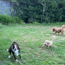 애플 피시 | 이스터를 맞이하며 근황 | 이사, 닌텐도 구매, 한국 휴가, 피시마켓, 아이폰 17 구매, 맥북 네오 후기