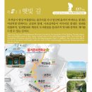 구불2길(햇빛길) 이미지