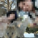 THE RED'S PC방 | 차 프리맨틀 마켓, 프리맨틀 가는 방법, 로트네스트섬 가는 방법, 로트네스트섬, 쿼카섬, Zambelli's pizza