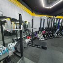 크로스핏 앤츠 이미지