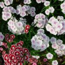 서부농업기술센터 이미지