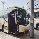 통도사신평버스터미널 | 인천에서 버스타고 통도사 가기 도전! 당일치기 뚜벅이 솔직 후기