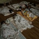 제주한국상용트럭서비스 (주) | 9월 첫째주부터 대차게 실패한 왓츠인마이블로그~ꯁ
