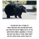 도도독 이미지