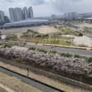 한내초 앞 이미지