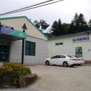 강릉농협 고단지점 이미지