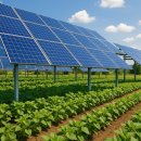 옥천1태양광발전소 | 🌞 옥천군 영농형 태양광 설치, 농지에서 만드는 안정적 장기수익