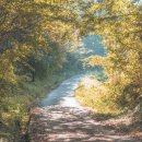 운곡생태습지길 1코스 이미지