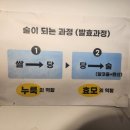 (주)동광레미콘 | 12월 국내여행 가볼만한 곳 , 군산 말랭이마을 추억전시관 &amp; 신흥양조장