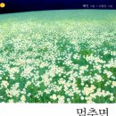 혜민광고