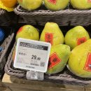 포멜로(POMELO)