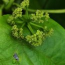 하예동-14 이미지