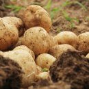 하임농장 이미지