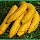 건강장수한의원 이미지