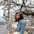 GS25 망미배산로점 | 부산 수영사적공원 매화 실시간 개화상황 지금가야하는 매화명소 위치 주차 정보