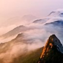 무념(無念) 이미지