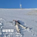 청송목장2 이미지