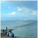 궁평항 주차장 공중화장실 이미지