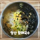 증산 | 양산 증산 맛집 할매국수 후기 - 가성비 좋은 국수와 푸짐한 비빔밥 한 끼